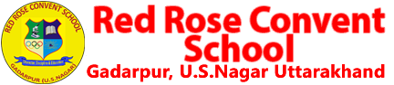 Red Rose Convent School 
